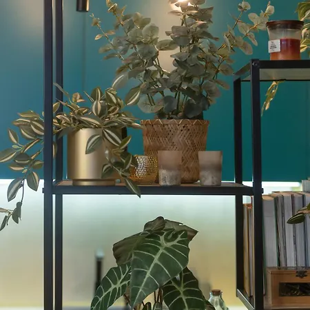 Center Turquoise By Renters * Varsovia